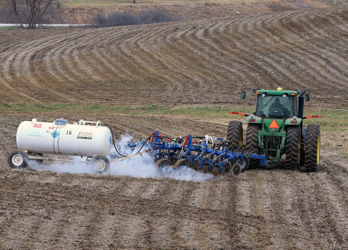 A tractor on a field spraying fertilizer from a small tank attached to the tractor.