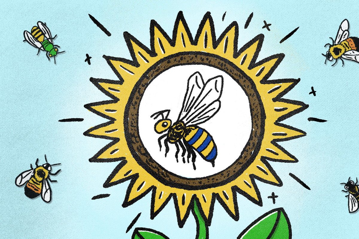An illustration in yellow, blue, and white shows a bee in the middle of a sunflower, with other bees in the air around it.