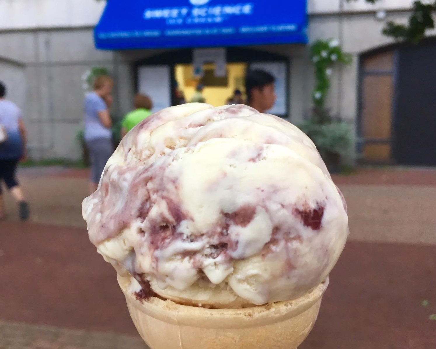 Sweet corn blueberry ice cream from Sweet Science Ice Cream.