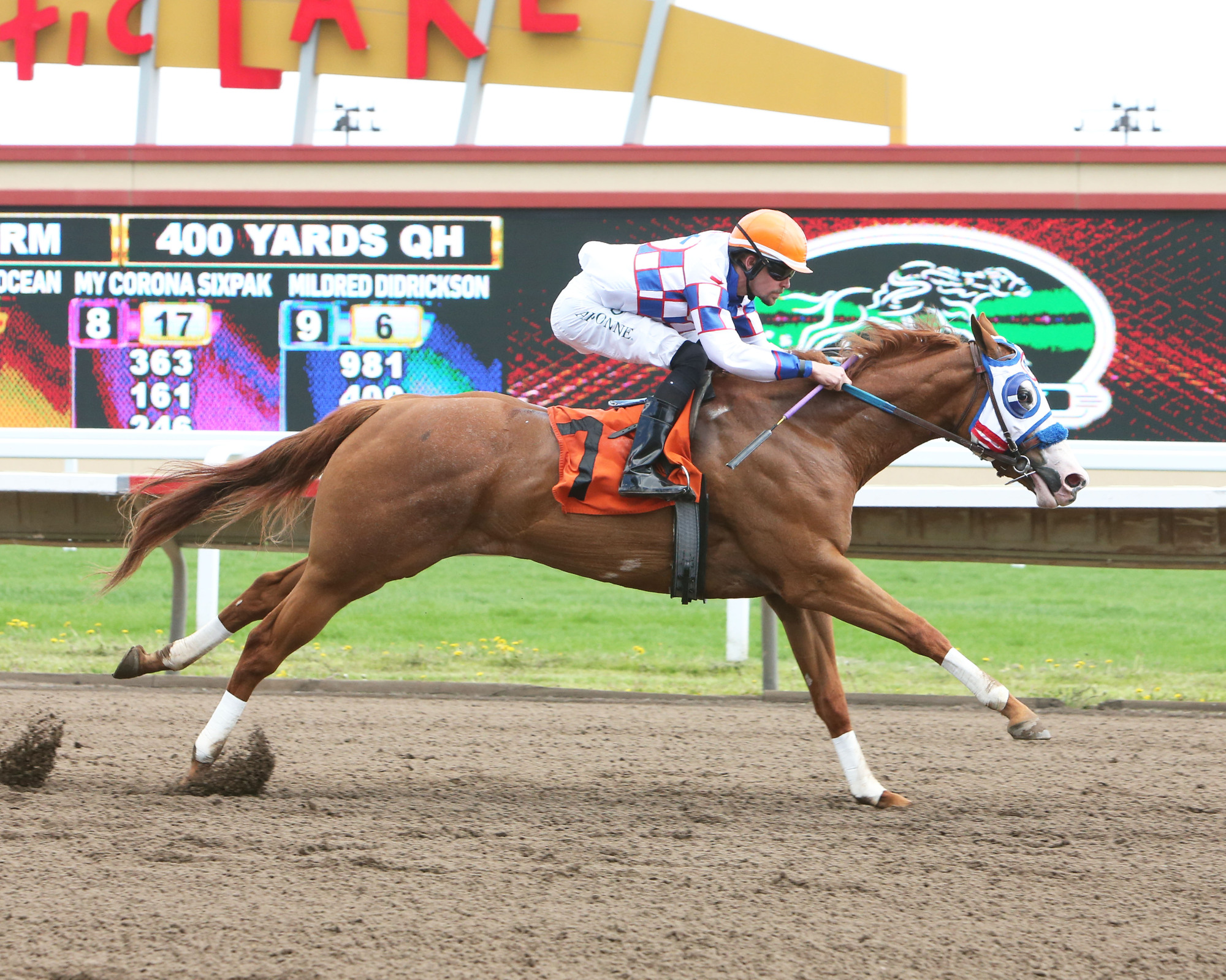 One Famous Ocean, a filly that has Wild goalie Alex Stalock and Canterbury Park announcer Paul Allen as part owners, raced to victory in its trials race for the Gopher State Derby on May 25 at Canterbury.