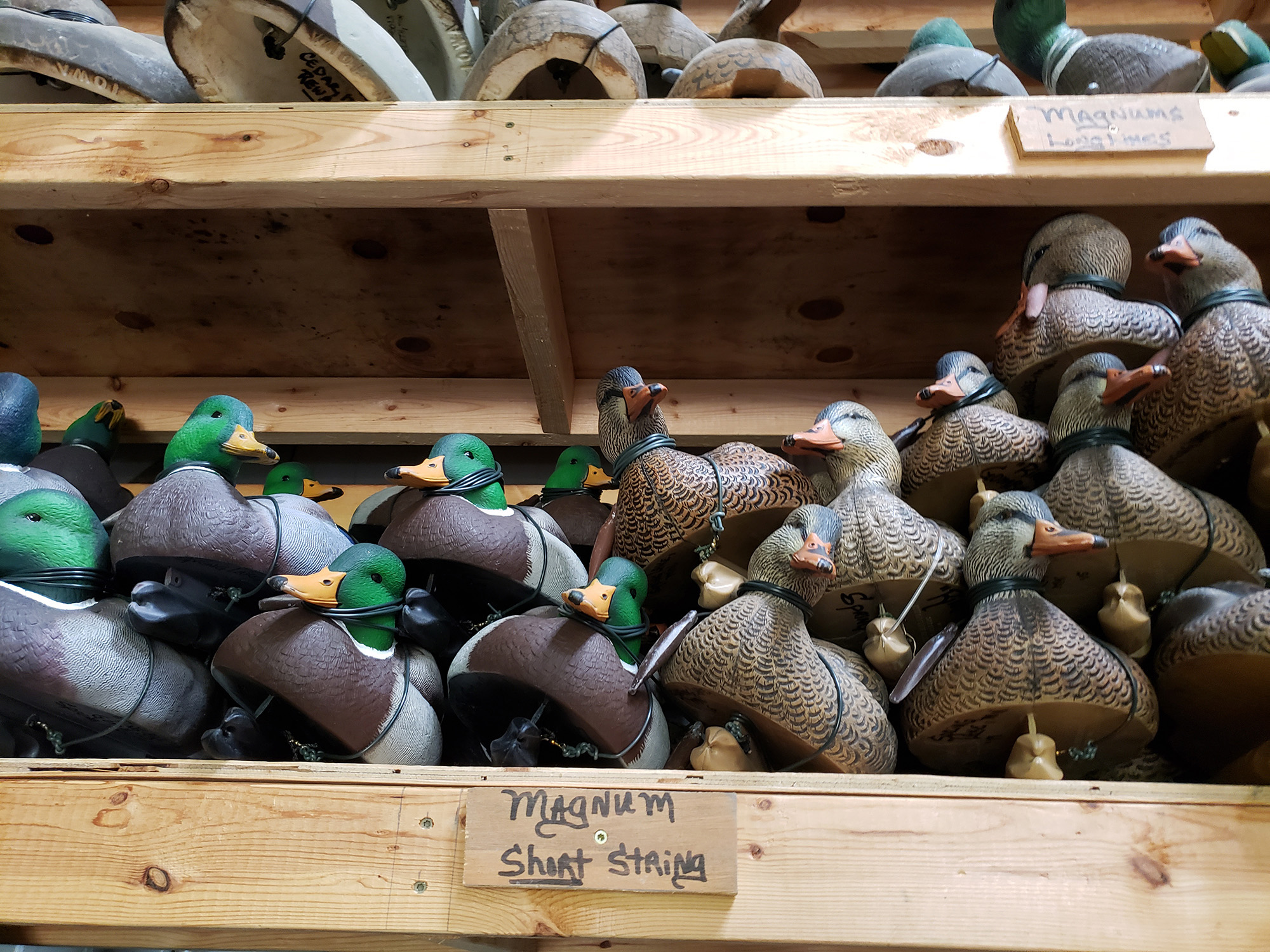 Duck decoys are organized by species and string length.