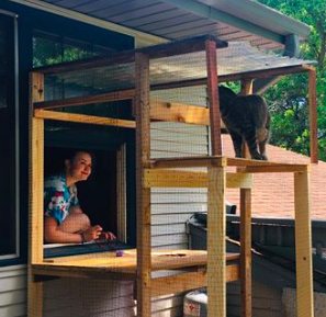 Bick Smith built a screened-in “catio” for his cat, Charlie.