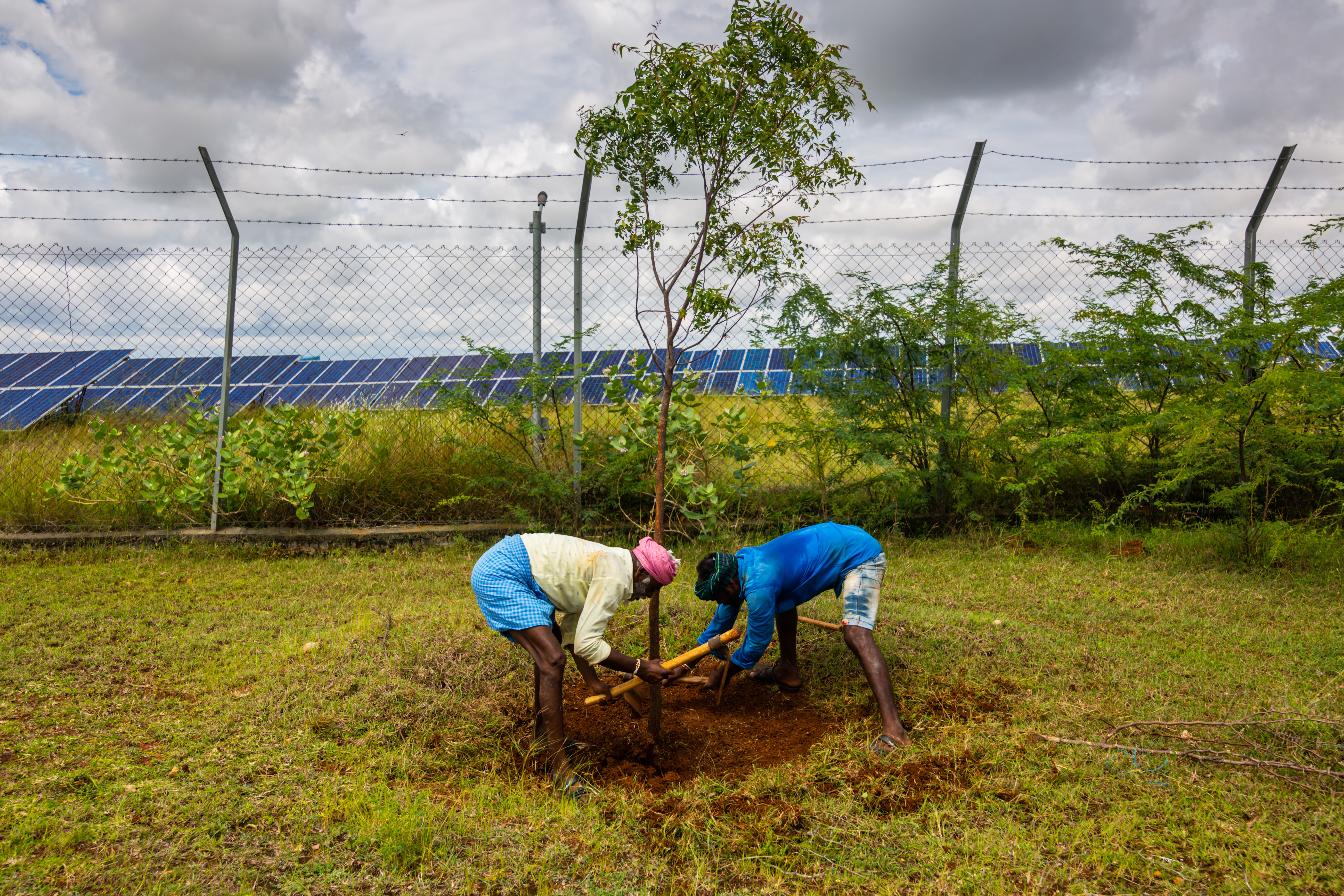 Pavagada Solar Farm Propels India Towards Climate Goals