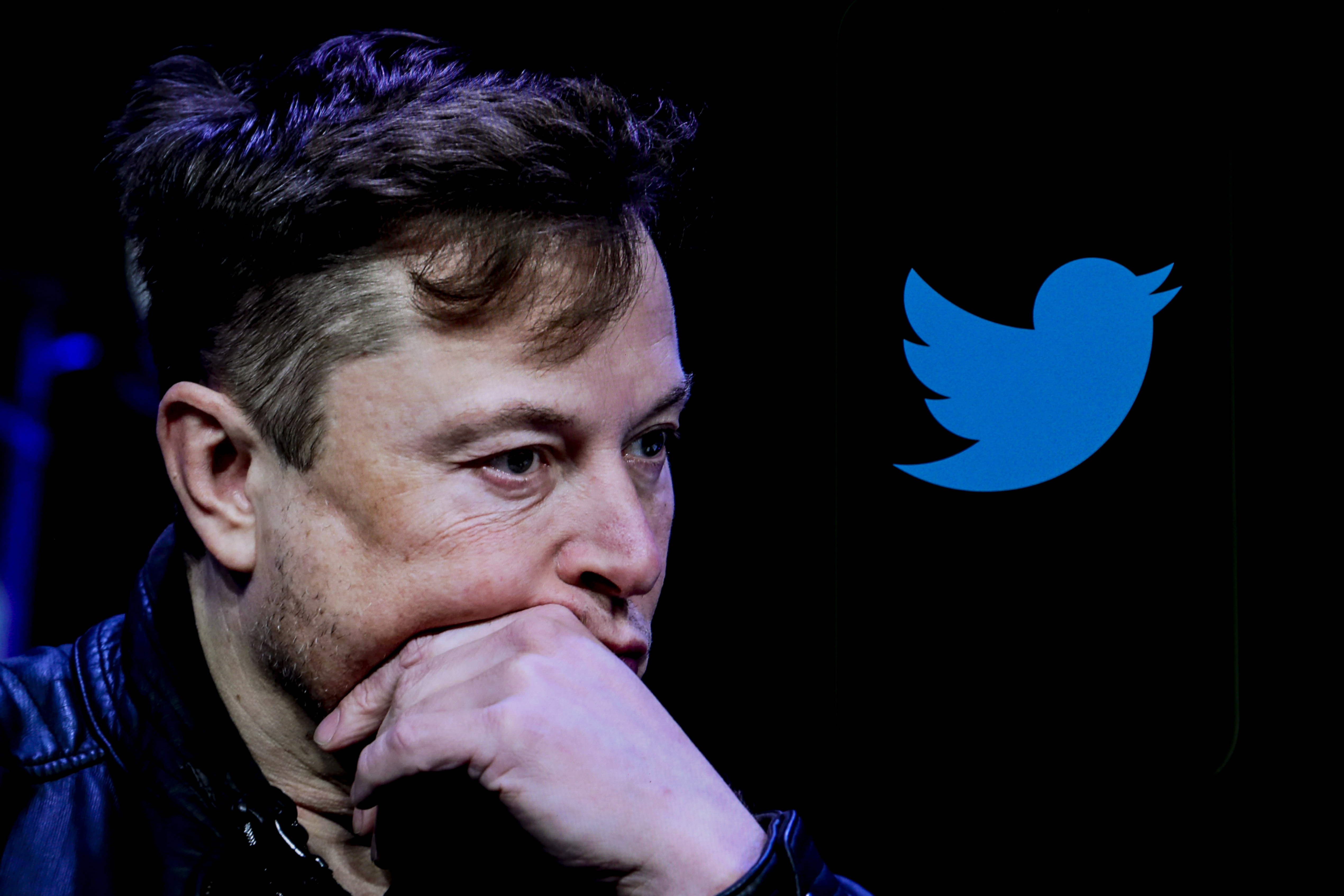 Photo illustration of Elon Musk and the blue Twitter bird logo.