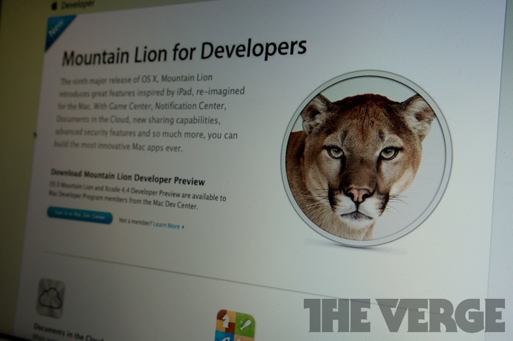 mountain lion developer 1020