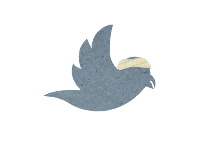a twitter bird with a bandaged head