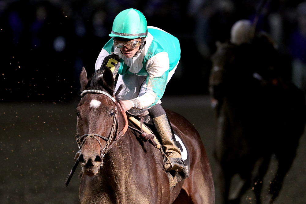 Royal Delta will race against Awesome Maria in the Delaware Handicap on Saturday afternoon.