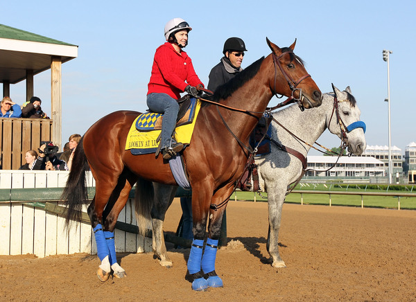 LOUISVILLE, KY - APRIL 28:  Lookin at Lucky with Dana Barnes aboard waits to go on the track during the morning workouts for the Kentucky Derby at Churchill Downs on April 28, 2010 in Louisville, Kentucky.  (Photo by Andy Lyons/Getty Images)