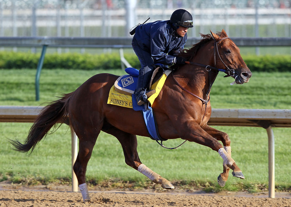 LOUISVILLE, KY - APRIL 28: Sidney's Candy runs on the track during the morning workouts for the Kentucky Derby at Churchill Downs on April 28, 2010 in Louisville, Kentucky.  (Photo by Andy Lyons/Getty Images)
