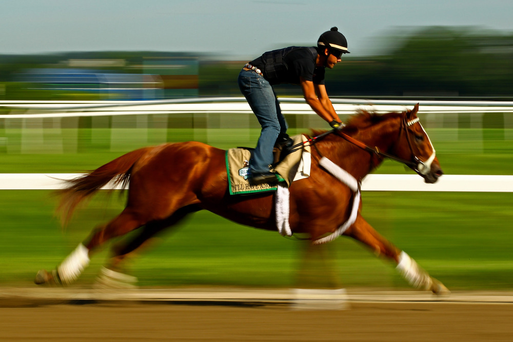 ELMONT, NY - JUNE 07:  Triple Crown Hopefull I'll Have Another gallops with exercise rider Jonny Garcia up during a morning workout at Belmont Park on June 7, 2012 in Elmont, New York.  (Photo by Al Bello/Getty Images)