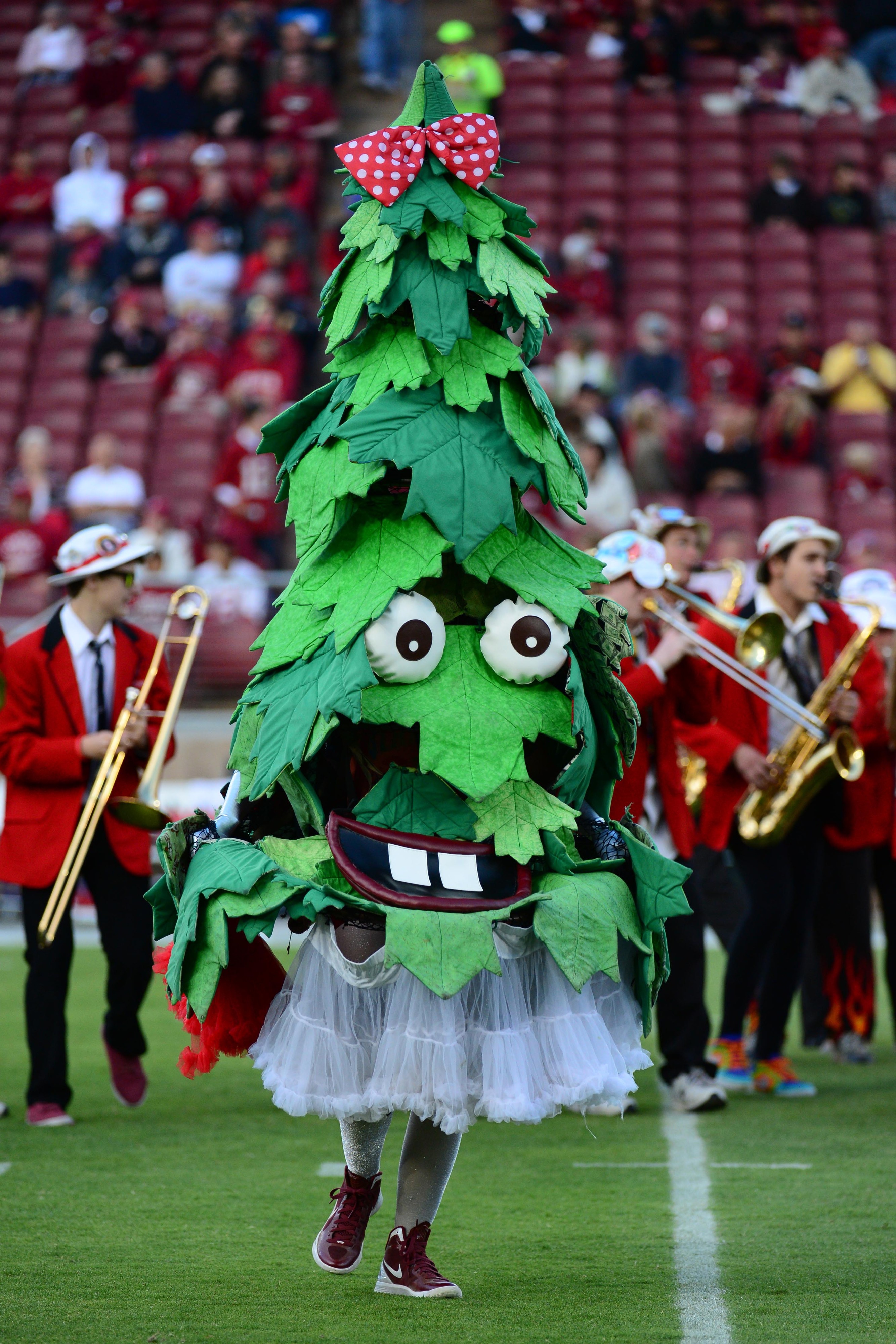 It's football season, which means the return of the Stanford band and that crazy tree.