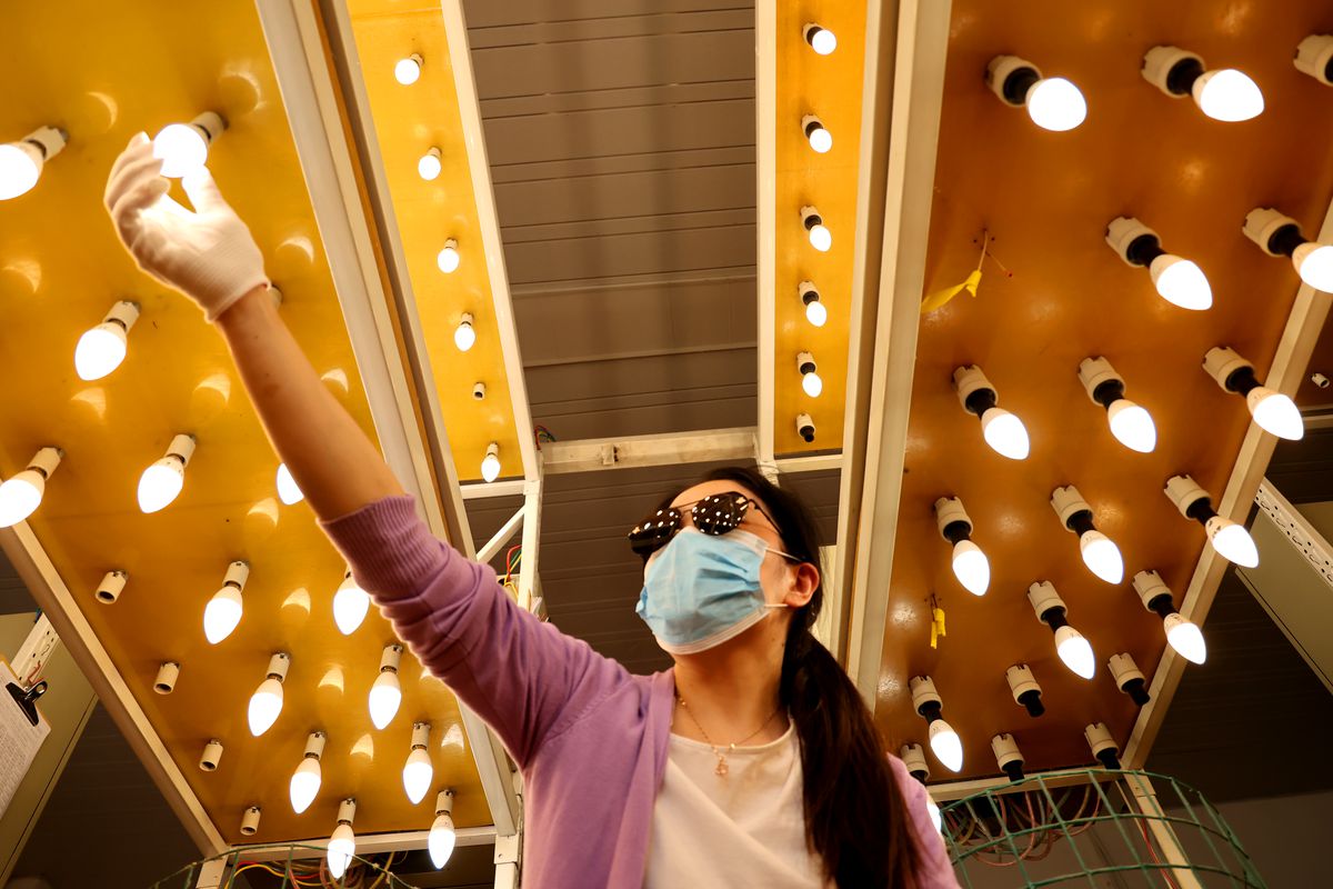 An employee inspects energy-saving bulbs at a factory on June 17, 2022 in Lianyungang, Jiangsu, Province of China.
