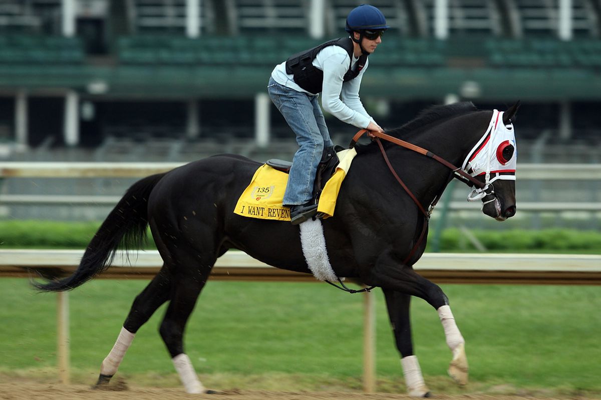 LOUISVILLE, KY - APRIL 28: I Want Revenge runs on the track during the morning training for the 135th Kentucky Derby at Churchill Downs on April 28, 2009 in Louisville, Kentucky. (Photo by Andy Lyons/Getty Images)