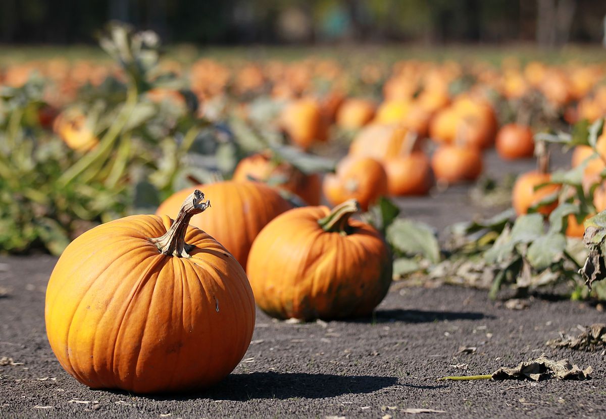 Preparations For Halloween Continue As Weekend Festivities Approach