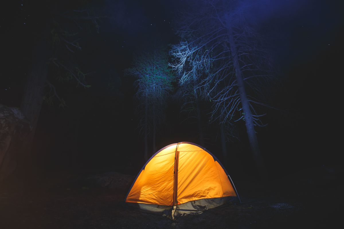 An orange tent glows among pine trees at night.