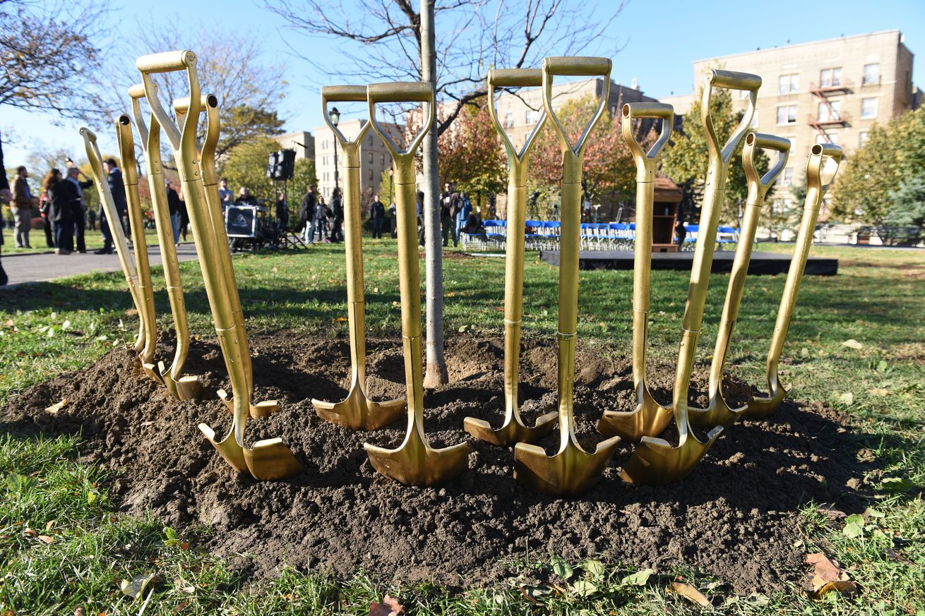 Gold shovels surround tree to be planted at Joyce Kilmer...