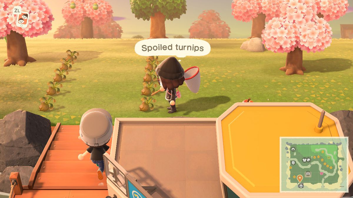 Animal Crossing taught me the dangers of time travel the hard way
