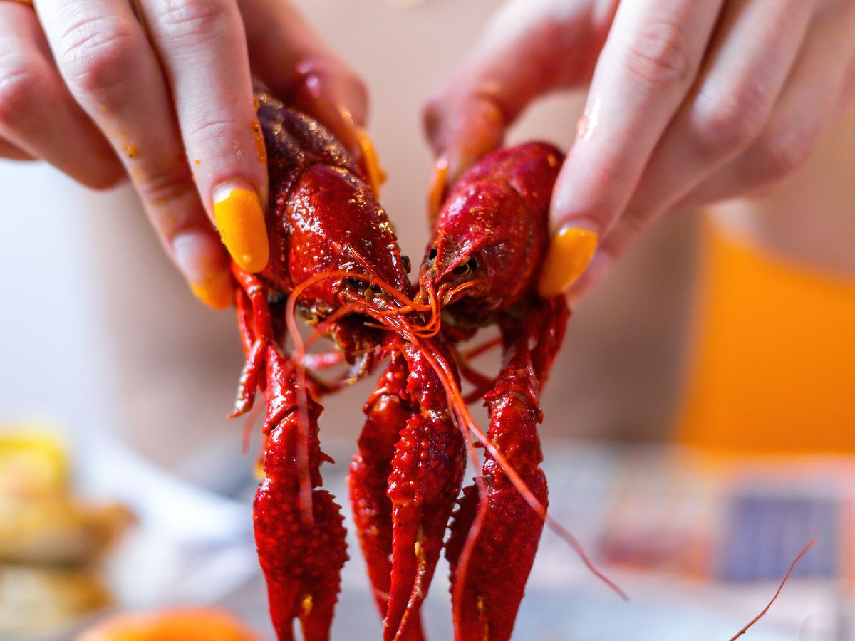 A person holding up two crawfish.