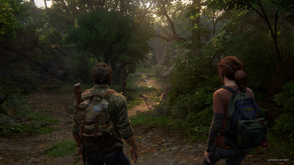 joel and ellie looking into the wilderness