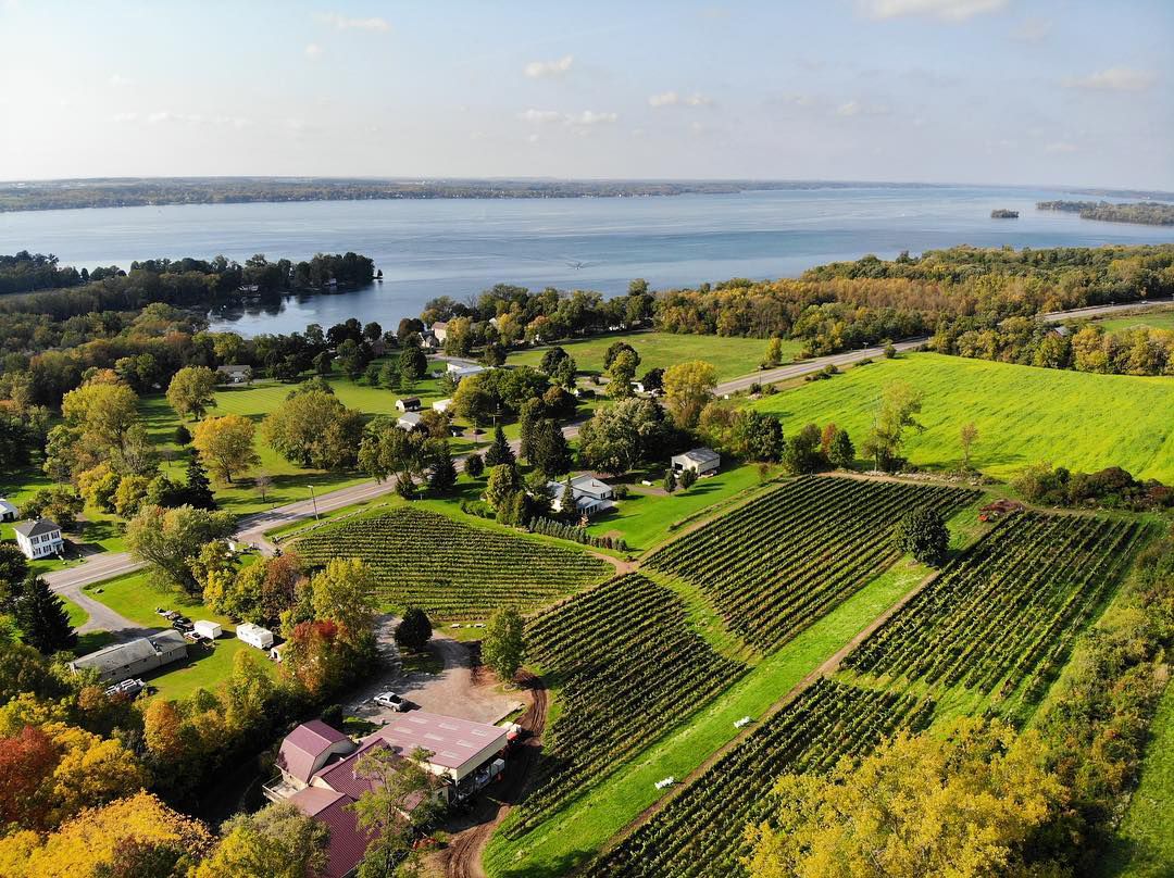 An overhead shot of a pastoral scene including a few buildings, vineyards, and a lake. 