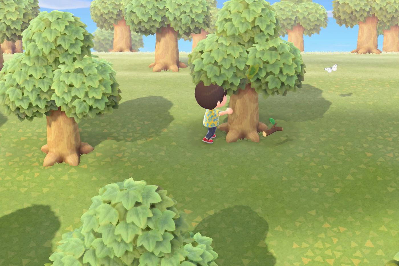 Animal Crossing New Horizons tree branches.0