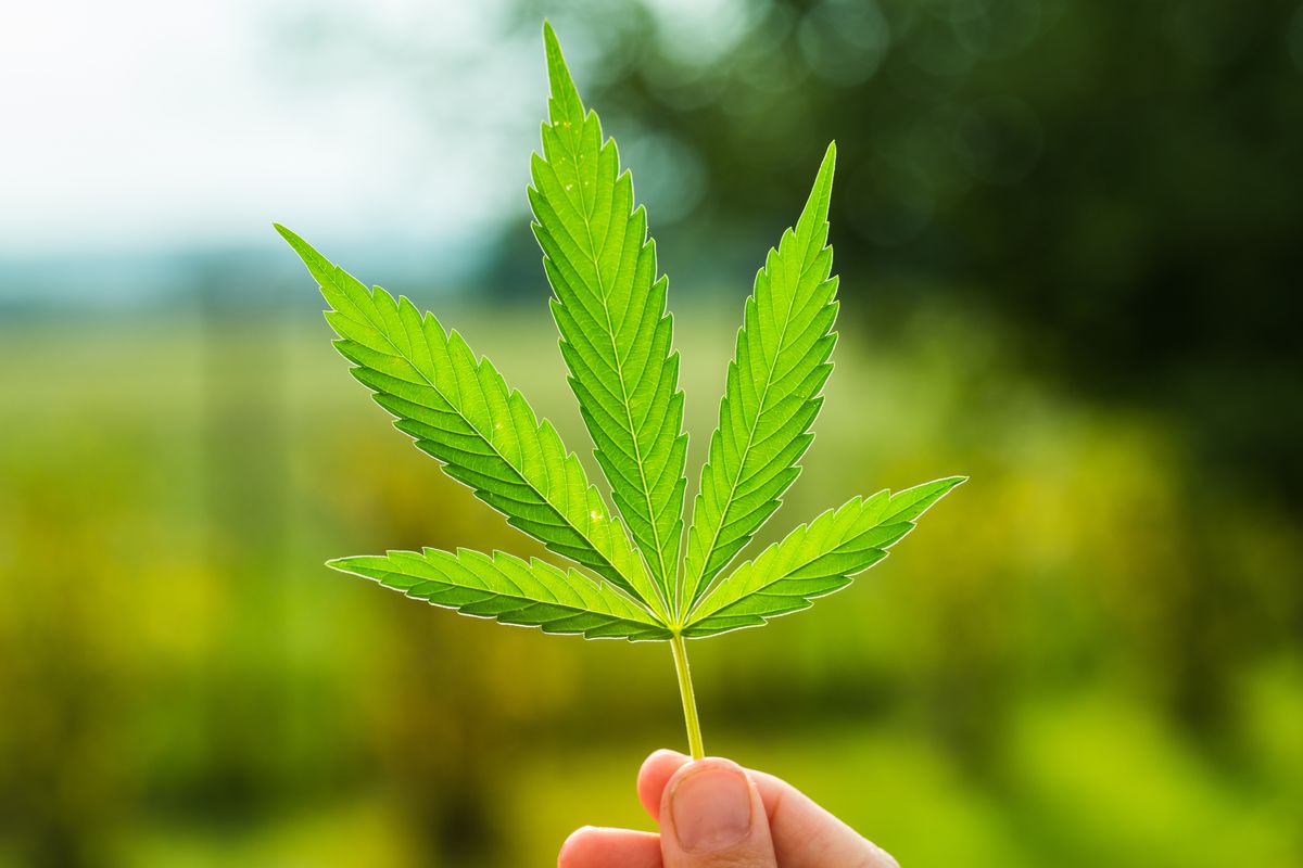 benefits of legalizing marijuana