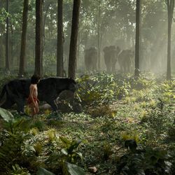 Mowgli (Neel Sethi) and Bagheera (voice of Ben Kingsley) in “The Jungle Book,” an all-new live-action epic adventure.