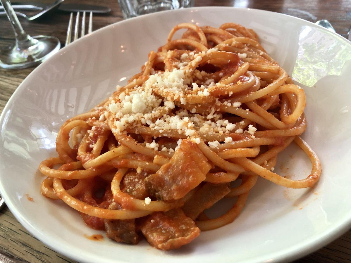 A plate of bucatini all’Amatriciana with cheese and guanciale at Maialino