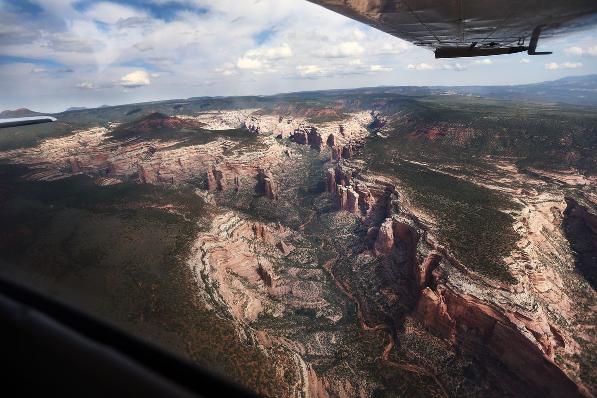 The Arch Canyon area of Bears Ears of the Bears Ears National Monument taken from EcoFLIGHT on Monday, May 8, 2017.