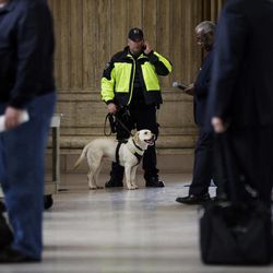 An Amtrak Police officer and his sniffer dog monitor travelers at the 30th Street Station Tuesday, April 16, 2013, in Philadelphia. The deadly explosions at the Boston Marathon on Monday reverberated on both sides of the Atlantic as cities from Los Angeles to London saw an increase in security. 