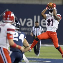 Stony Brook wide receiver Delante Hellams Jr. (81) catches a pass against Utah State during an NCAA college football game, Saturday, Sept. 7, 2019, in Logan, Utah. 