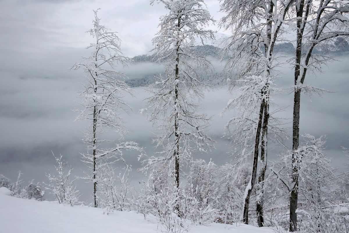 Winter at Rosa Khutor mountain resort in Russia