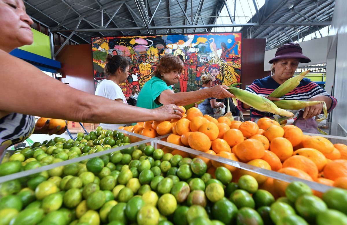 Customers choose tangerines, limes, corn, and other produce.