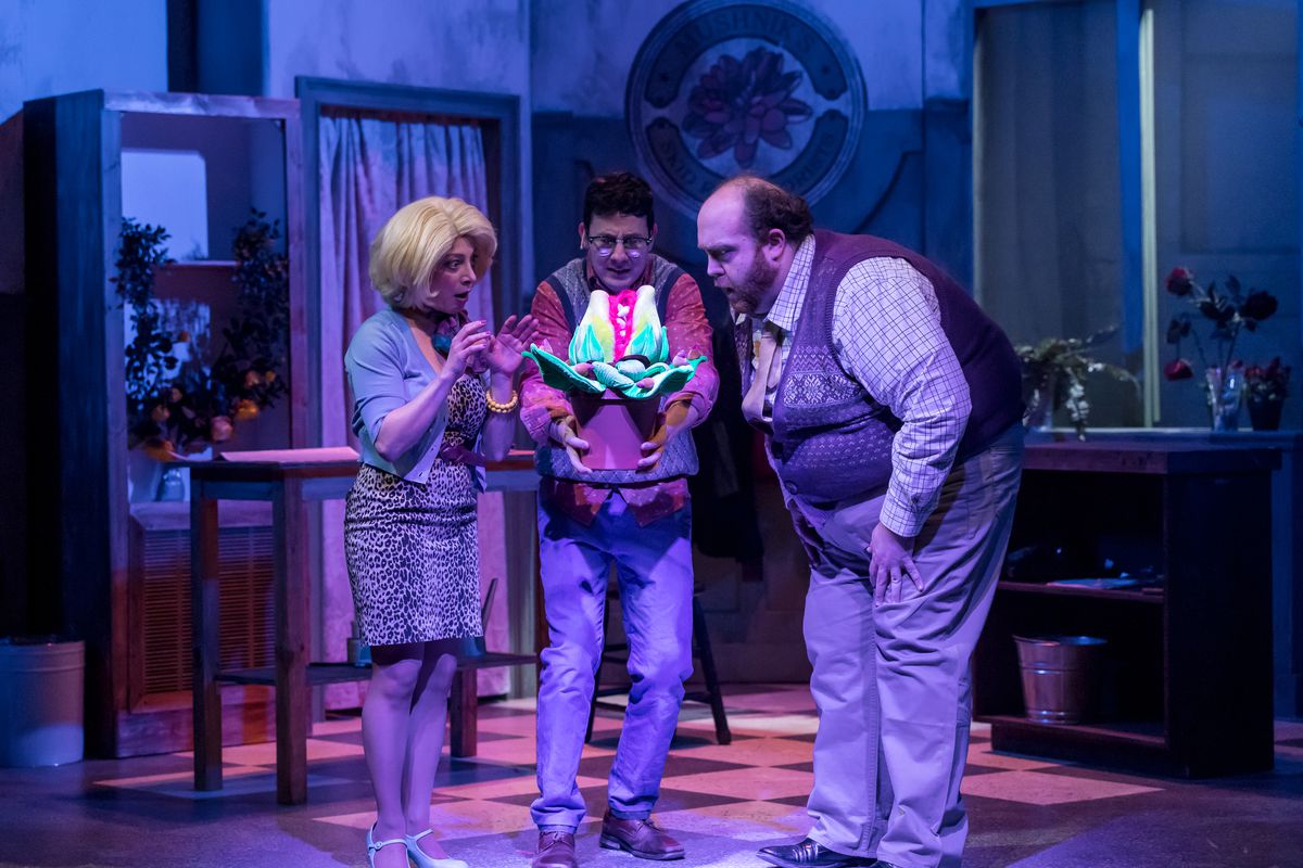 Dana Tretta (from left), Christopher Kale Jones and Tommy Novak in a scene from “Little Shop of Horrors” at the Mercury Theatre. | Brett Beiner Photo