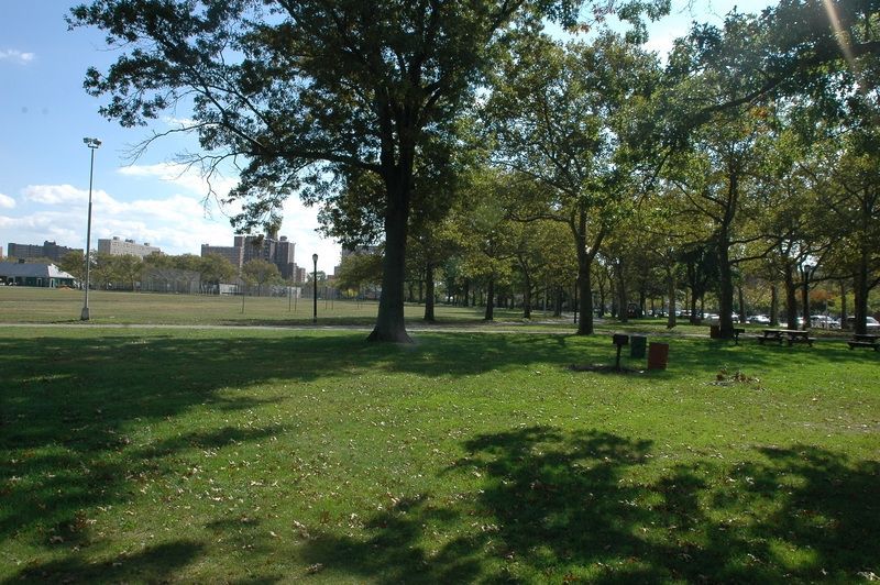 A park with a green lawn. There are trees. In the distance surrounding the park are city buildings.