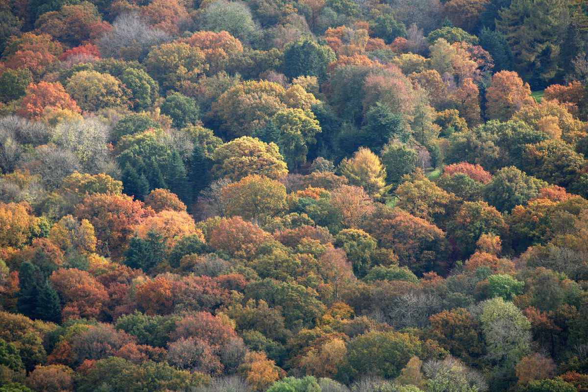Autumn Colours Arrive In The UK
