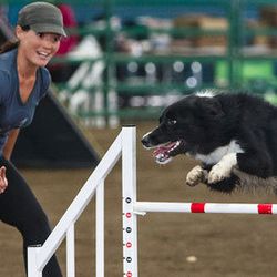 <strong>Agility Training</strong><br> 
You love getting in your workout, so why not spend some time letting Rover get his sweat on, too. <a href="http://www.acedogsports.com">Ace Dog Sports</a> in Bayview (677 Toland Place) will help you keep your dog fi