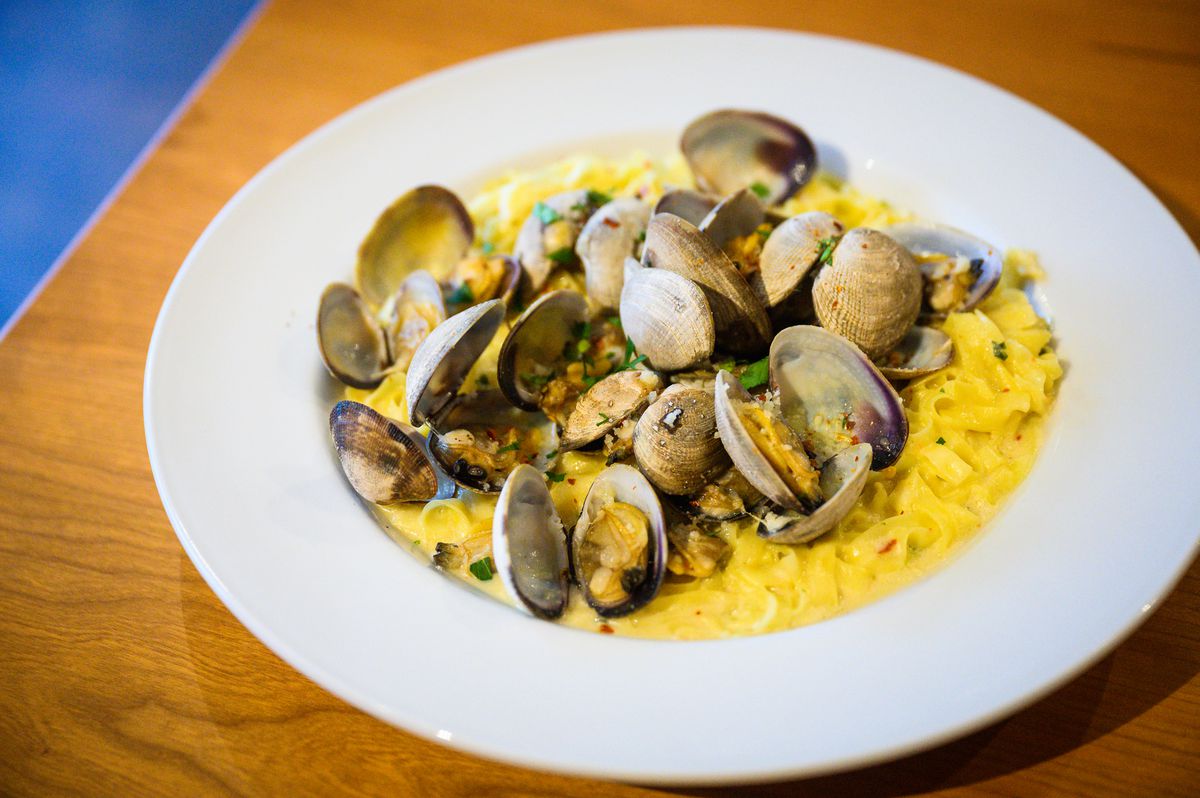 A bowl of noodles in a cream sauce supports a pile of clams in their shells.