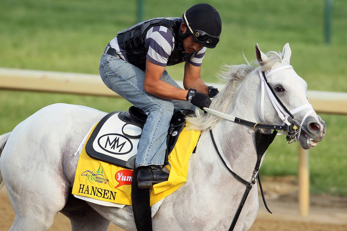 LOUISVILLE, KY - MAY 03:  Hansen trains on the track in preparation for the 138th Kentucky Derby at Churchill Downs on May 3, 2012 in Louisville, Kentucky.  (Photo by Elsa/Getty Images)