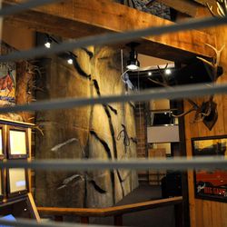 The Twin Peaks restaurant at Harmon Corner includes a 39-foot rock climbing wall.