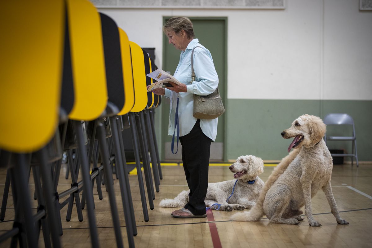 Slattery, in a blue jean shirt and black pants, stands alone in a gym. She votes at a yellow booth. Her two brown dogs pant beside her.
