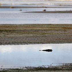 Water levels are low at the Great Salt Lake Marina State Park in Magna Tuesday, Feb. 10, 2015.