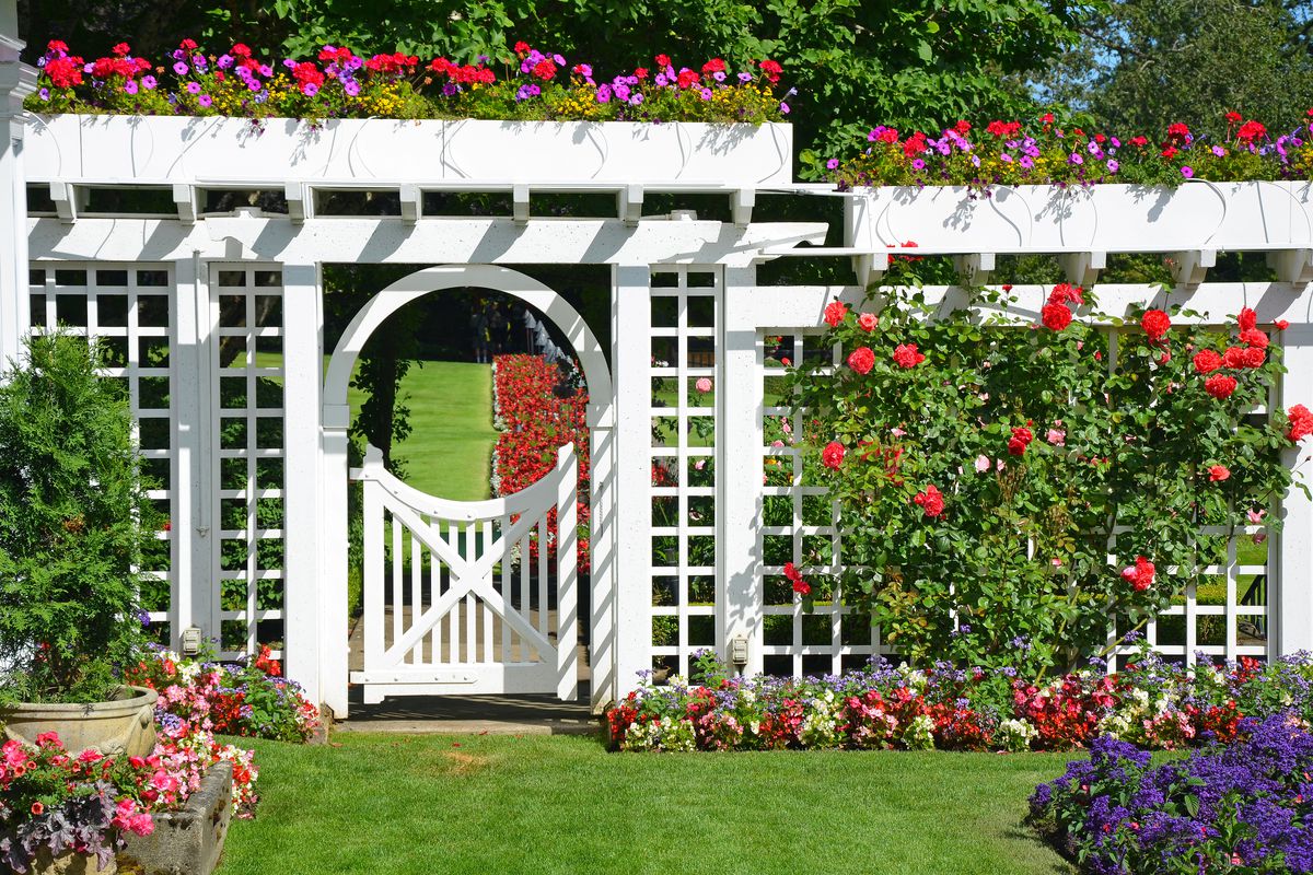 Backyard flower garden with trellis and arbor