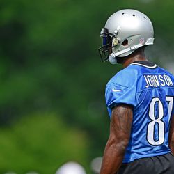 Detroit Lions wide receiver Calvin Johnson (81) during minicamp at Lions training facility.
