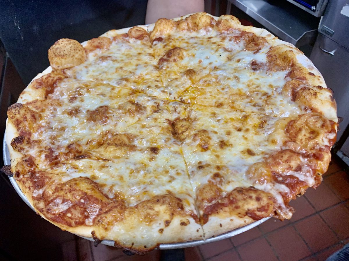 A hand holds a cheese pizza. The crust is bubbly, and the cheese is spread across the pie in abundance. 