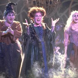 In "Hocus Pocus," the Sanderson sisters are 17th century witches, conjured by unsuspecting pranksters in present-day Salem. The key to their immortality involves three children and a talking cat, who also turn out to be their biggest obstacles.