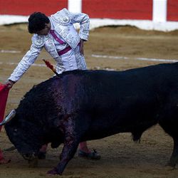Matador Jairo Miguel Sanchez Alonso makes a pass during a bullfight in Caceres, Spain, on Saturday.