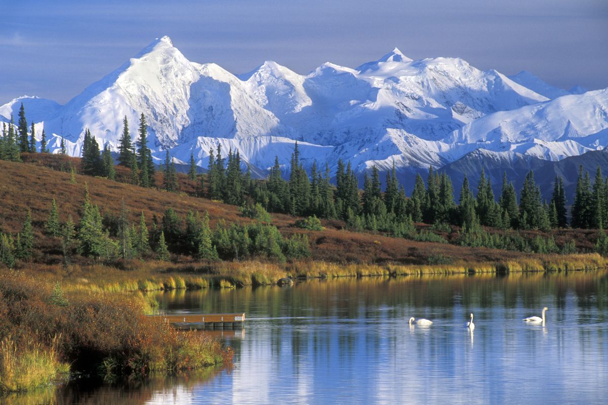 The Alaska Range with Mount McKinley and Wonder Lake with Tundra swans in the fall.