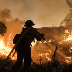A firefighter battles the Holy Fire burning in the Cleveland National Forest along a hillside at Temescal Valley in Corona, Calif., Thursday, Aug. 9, 2018. Firefighters fought a desperate battle to stop the Holy Fire from reaching homes as the blaze surged through the Cleveland National Forest above the city of Lake Elsinore and its surrounding communities. (AP Photo/Ringo H.W. Chiu)