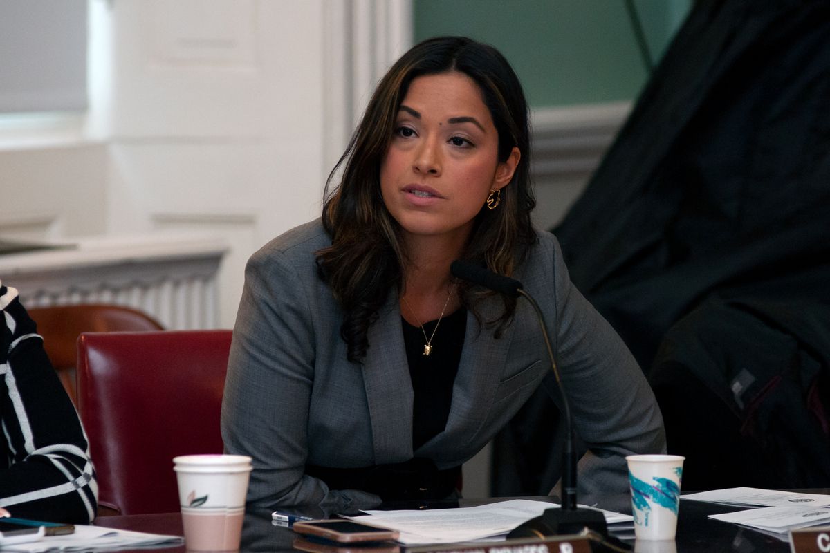 Councilmember Carlina Rivera speaks at a City Hall hearing on the East River Park flood resiliency plan, Nov. 12, 2019.